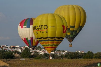 Rubis Gas Up Algarve | Festival de Balonismo #171