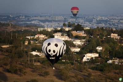 Rubis Gas Up Algarve | Festival de Balonismo #85